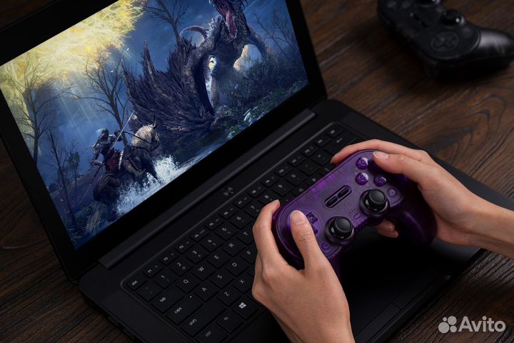 Геймпад 8BitDo Pro 2