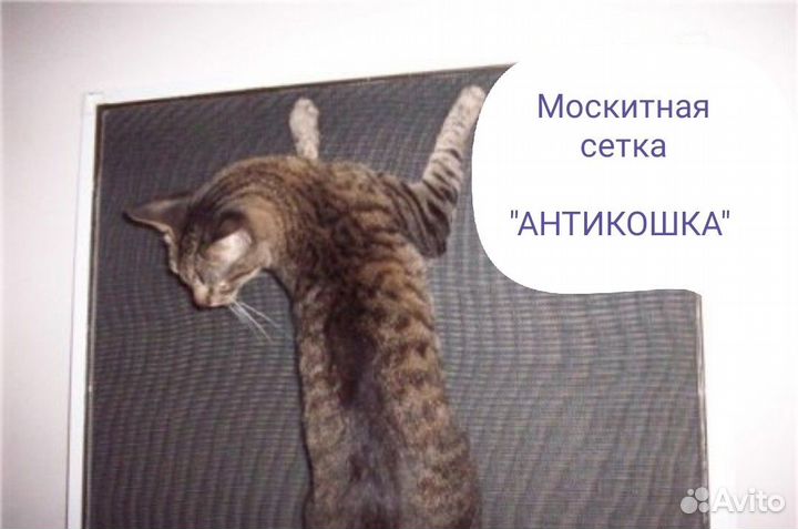 Сетка москитная антикошка