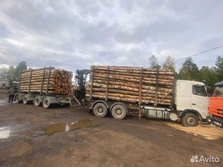 Дрова Качественные