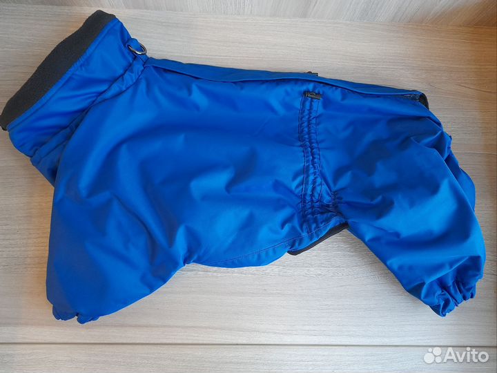 Новый демисезонный комбинезон для собак