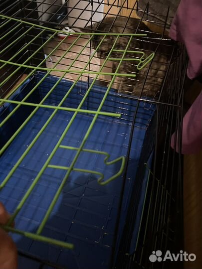 Большая клетка для кролика