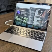 macbook 12 2016 - Купить ноутбук 💻 по выгодной цене на Авито во