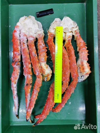 Краб Камчатский Супер Размер, сварен сегодня