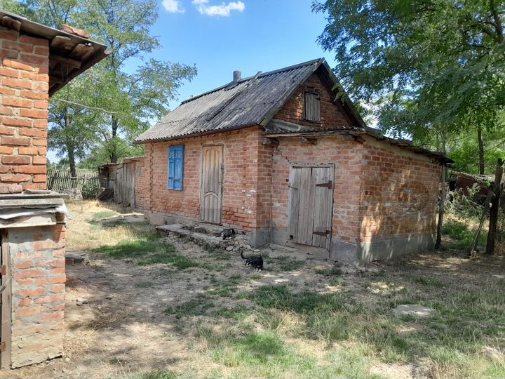 Дом 65 м² на участке 50 сот.