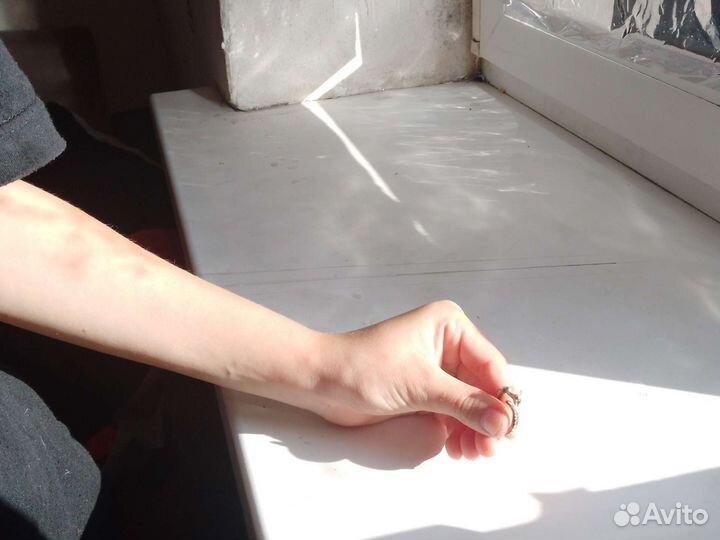 Кольцо СССР