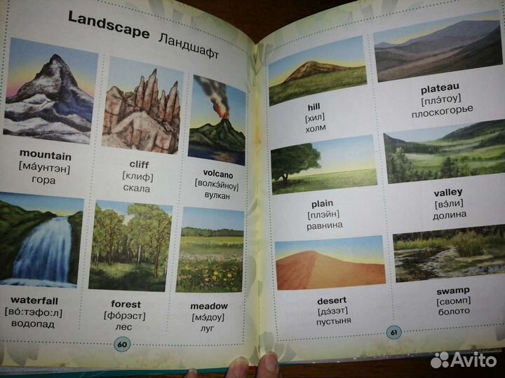 Англо-русский визуальный словарь