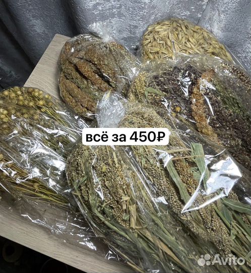 Товары для грызунов