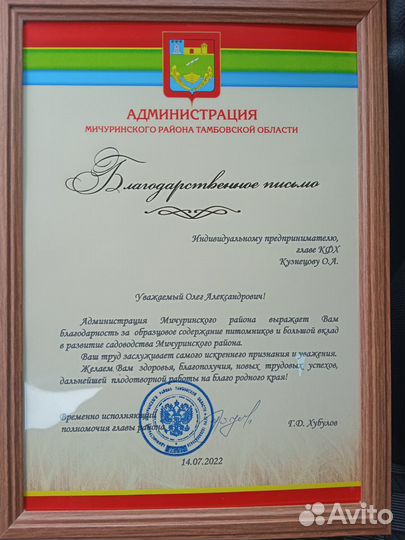 Смородина