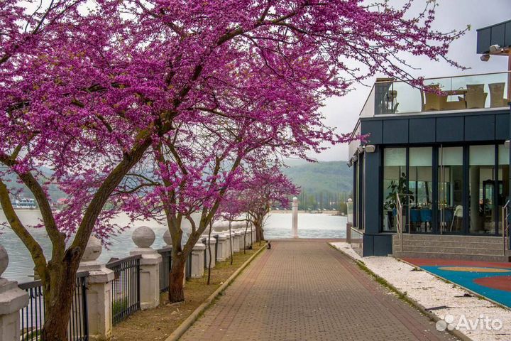 Поклейка обоев покраска стен и поталков#