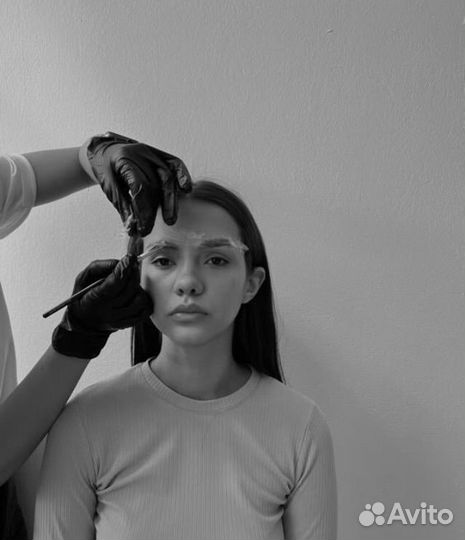 Обучение бровист