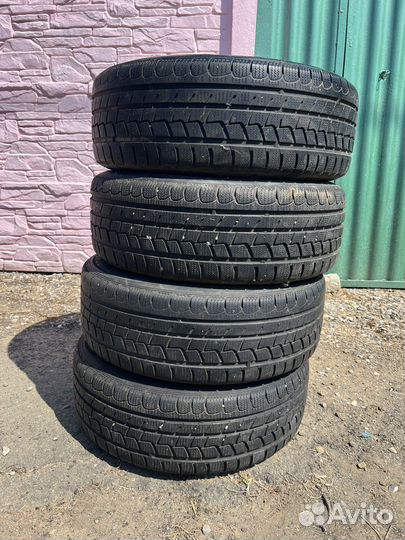 Roadstone Eurovis Alpine WH1 205/55 R16 91H