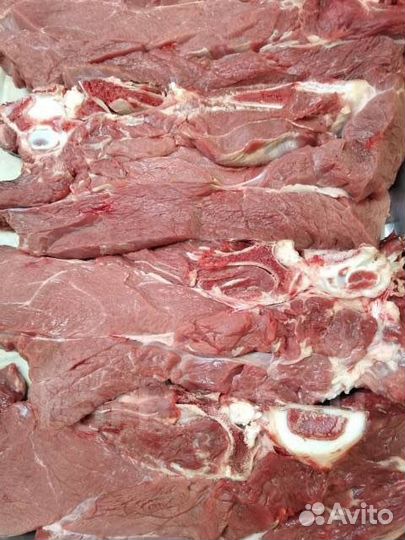 Мясо говядина домашняя