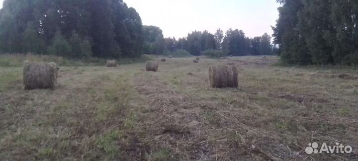 Сено в рулонах
