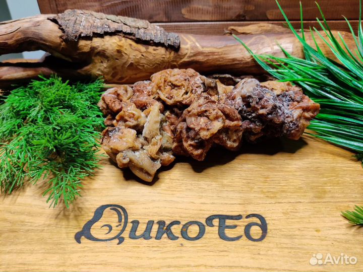 Строчки замороженные