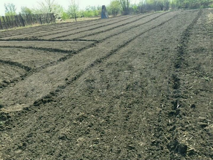 Участок 8 сот. (СНТ, ДНП)