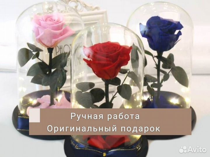 Розы в колбе любые