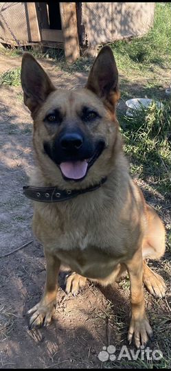 Найде ищем Дом