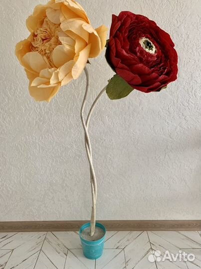 Декоративные цветы