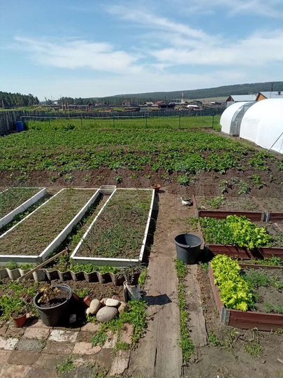 Дом 56 м² на участке 35 сот.