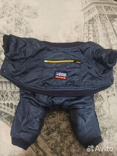 Одежда для маленьких собак