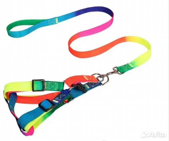 Обувь для собак