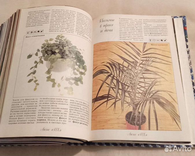 Журналы Приусадебное хозяйство за 1996 год