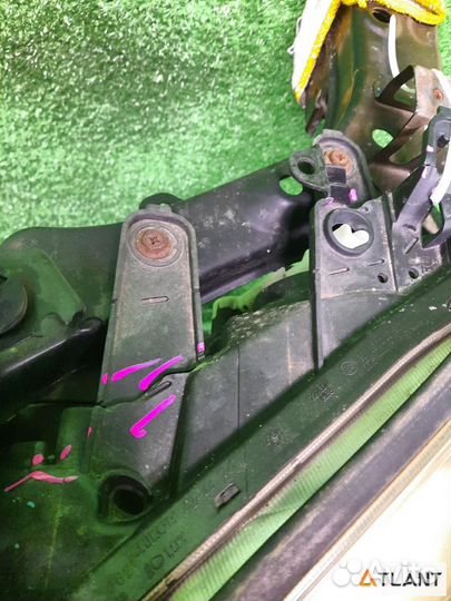 Nose cut toyota vanguard