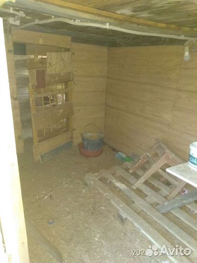 Курятник зимний