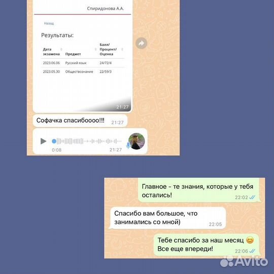 Репетитор по русскому языку и литературе