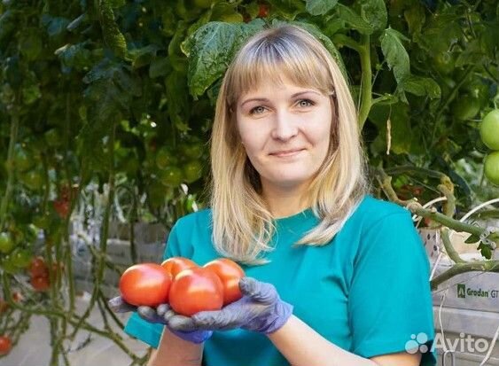 Оператор упаковочной линии в Волгоград, м/ж, жилье