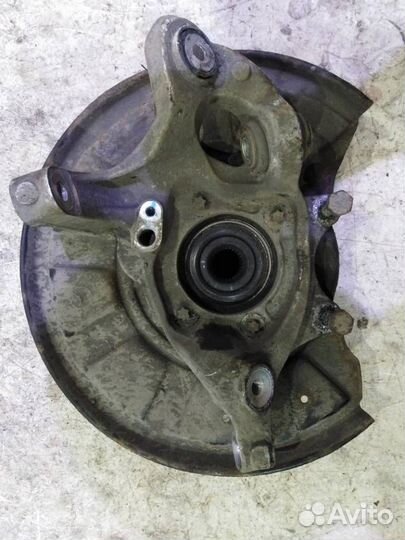 Кулак задний левый