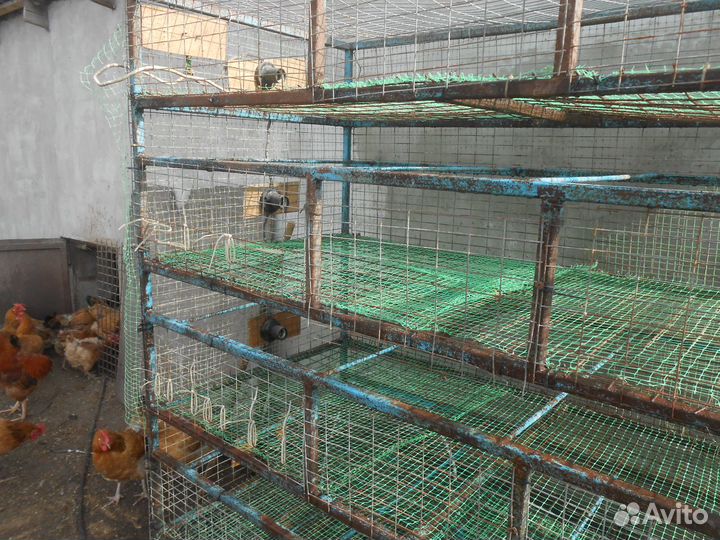 Бактерии для подстилки С доставкой в регионы