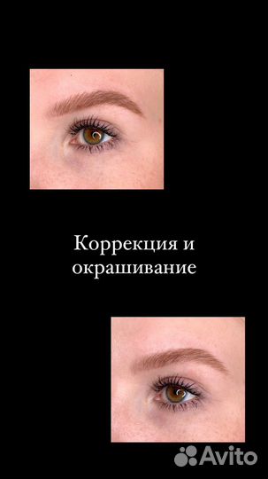 Мастер-бровист