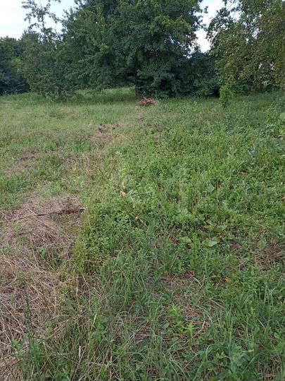 Участок 11,3 сот. (ИЖС)