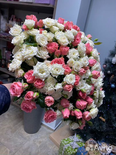 Роза кустовая XXL