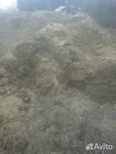 Конский навоз