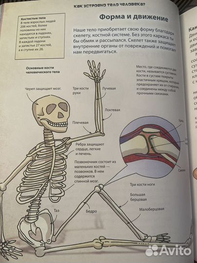 Что такое биология