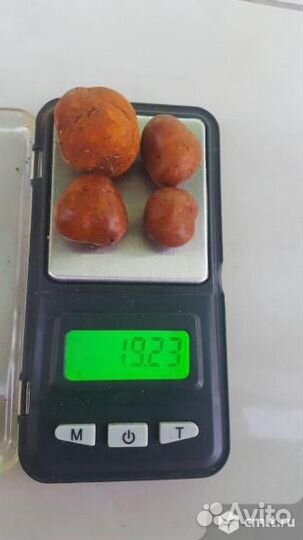 Желчный камень крс