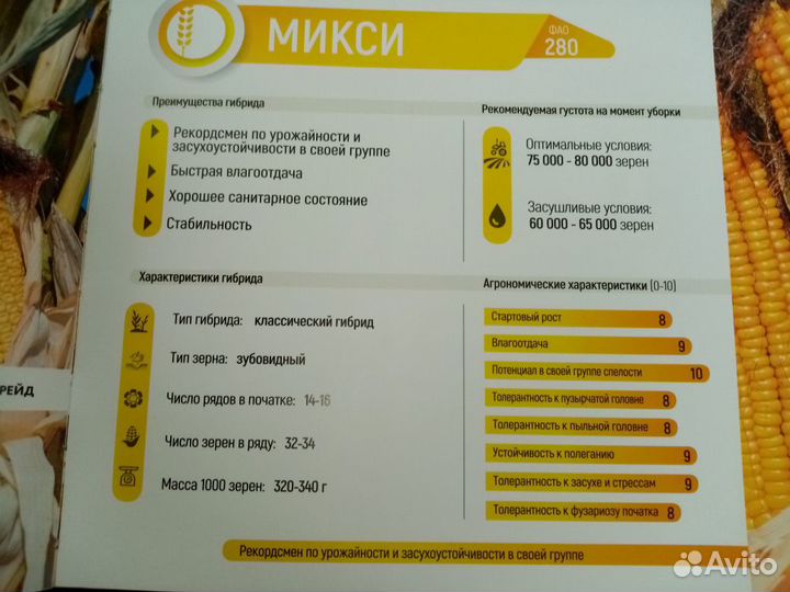 Семена кукурузы микси (ragt)