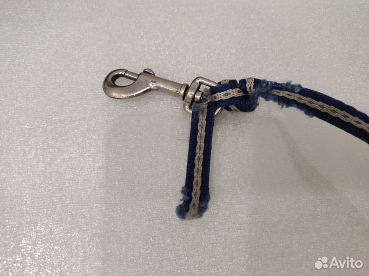 Шлейка для маленькой собаки