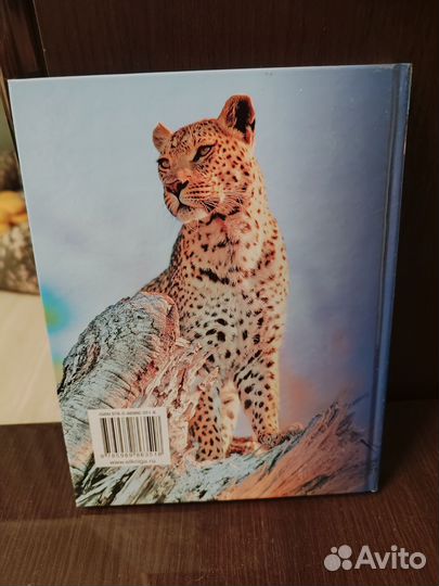 Книга подарочное издание. Звери мира