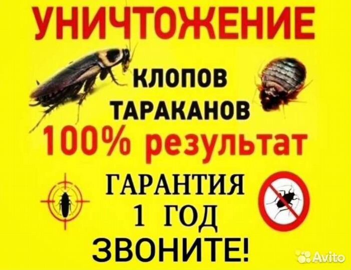 Уничтожение клопов тараканов мышей блох муравьёв