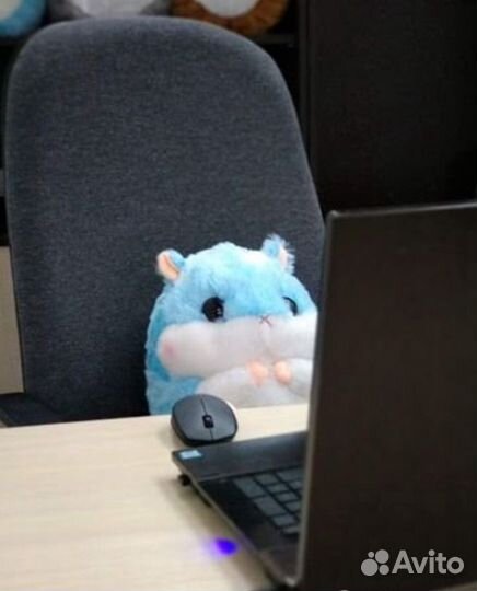 Хомяк с пледом 3 в 1 Hommy Toп качество. Новые