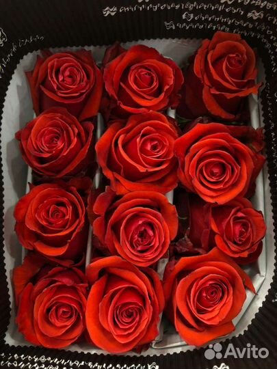 Розы доставка бесплатная