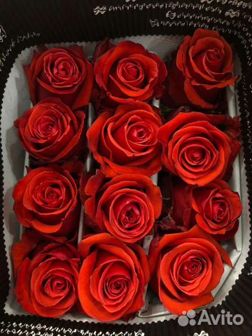 Розы доставка бесплатная