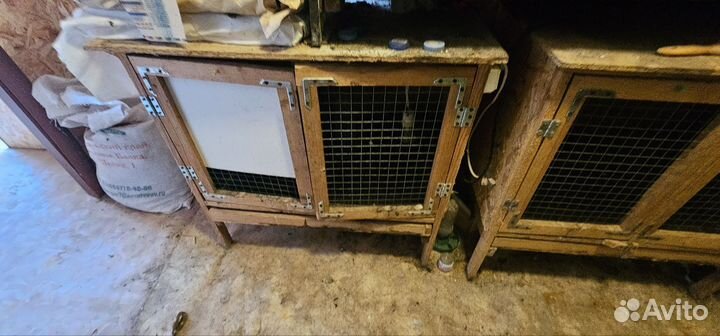 Брудер для цыплят