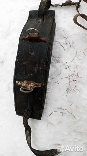 Сбруя для лошади