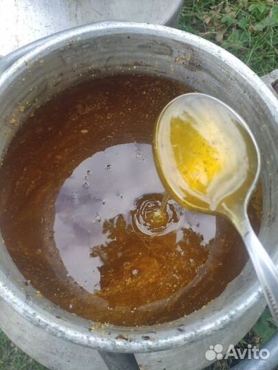 Продам пчелосемьи