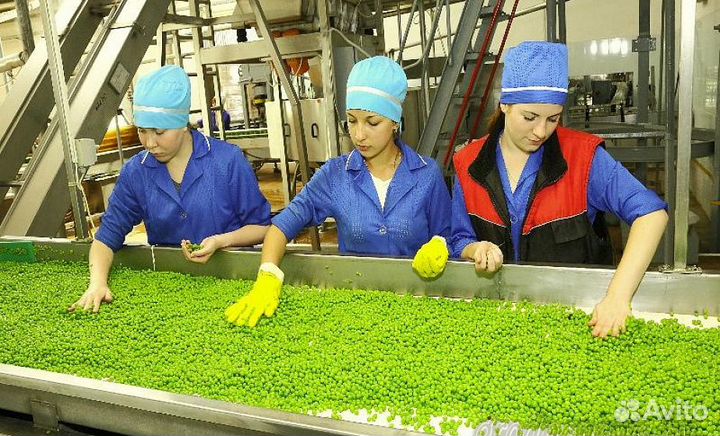 Складские работники с проживанием