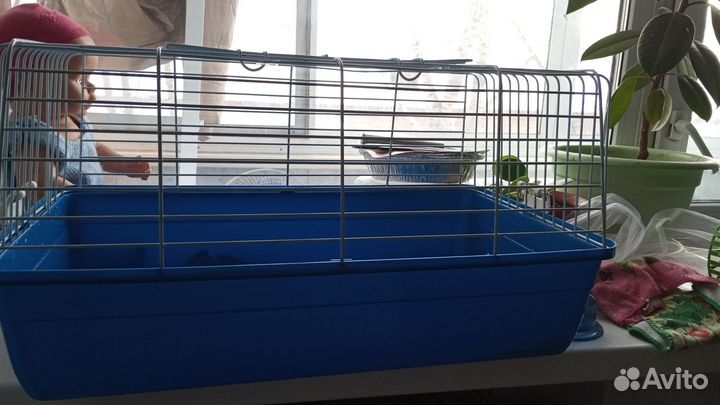 Продам клетку